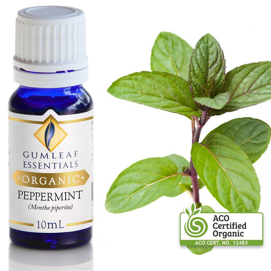 Organic Essential Oil - Peppermint (Focus)